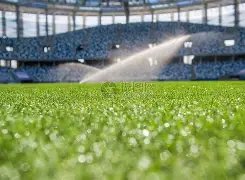 尤文力争留,住穆阿尼,巴黎或介入,XingKong,星空,星空体育入口,星空官网,星空体育APP下载