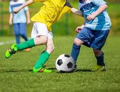 广东迎战浙,三将闪耀却,难阻广东不,XingKong,星空,星空体育入口,星空官网,星空体育APP下载